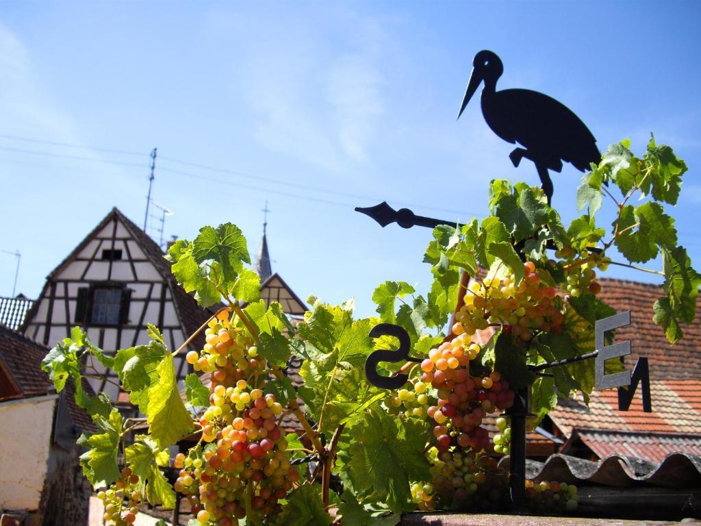 B&B Le Clos Des Raisins Beblenheim Εξωτερικό φωτογραφία