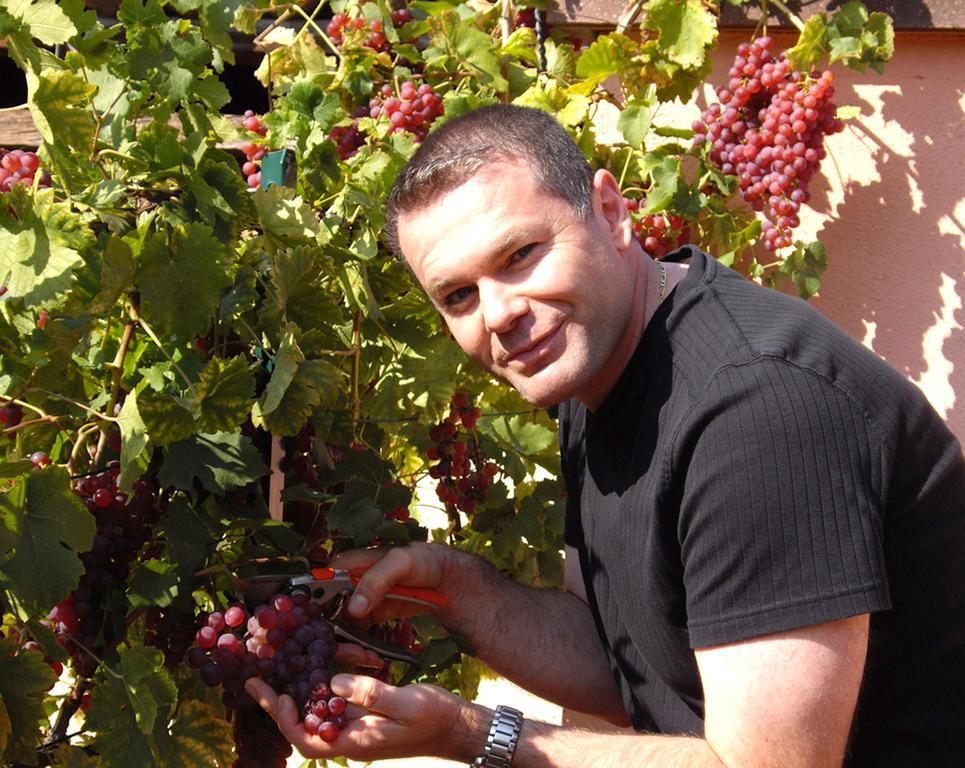 B&B Le Clos Des Raisins Beblenheim Εξωτερικό φωτογραφία